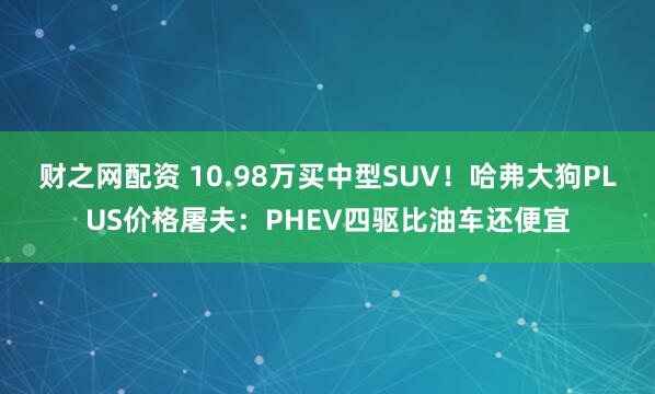 财之网配资 10.98万买中型SUV！哈弗大狗PLUS价格屠夫：PHEV四驱比油车还便宜