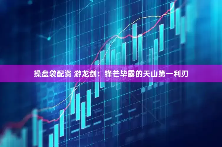 操盘袋配资 游龙剑：锋芒毕露的天山第一利刃